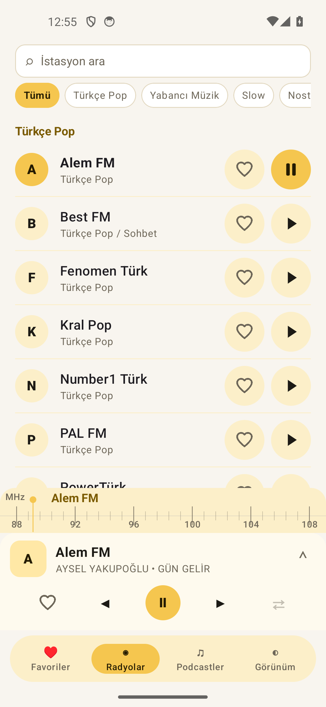 RadyoBox uygulamasında istasyon ve kategori listesi